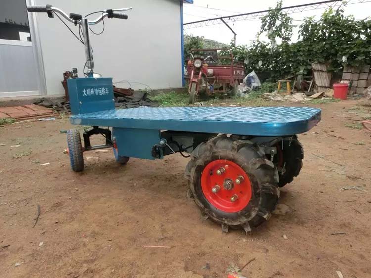 立把式大棚電動車1