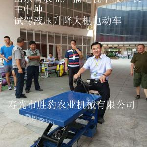 電子液壓升降電動車